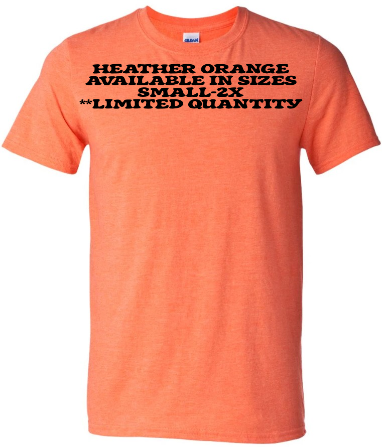 Gildan Softstyle® Tees image 1