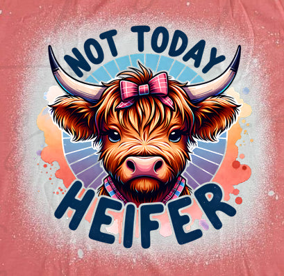Not Today Heifer
